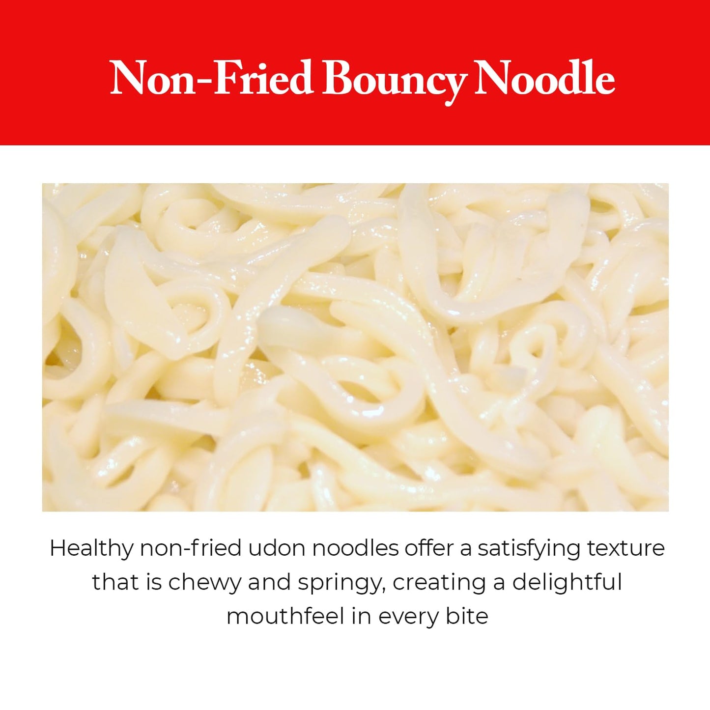 Wang Seafood Udon, Deep and Refreshing Flavor, Noodles Made for Slurping, Pack of 6