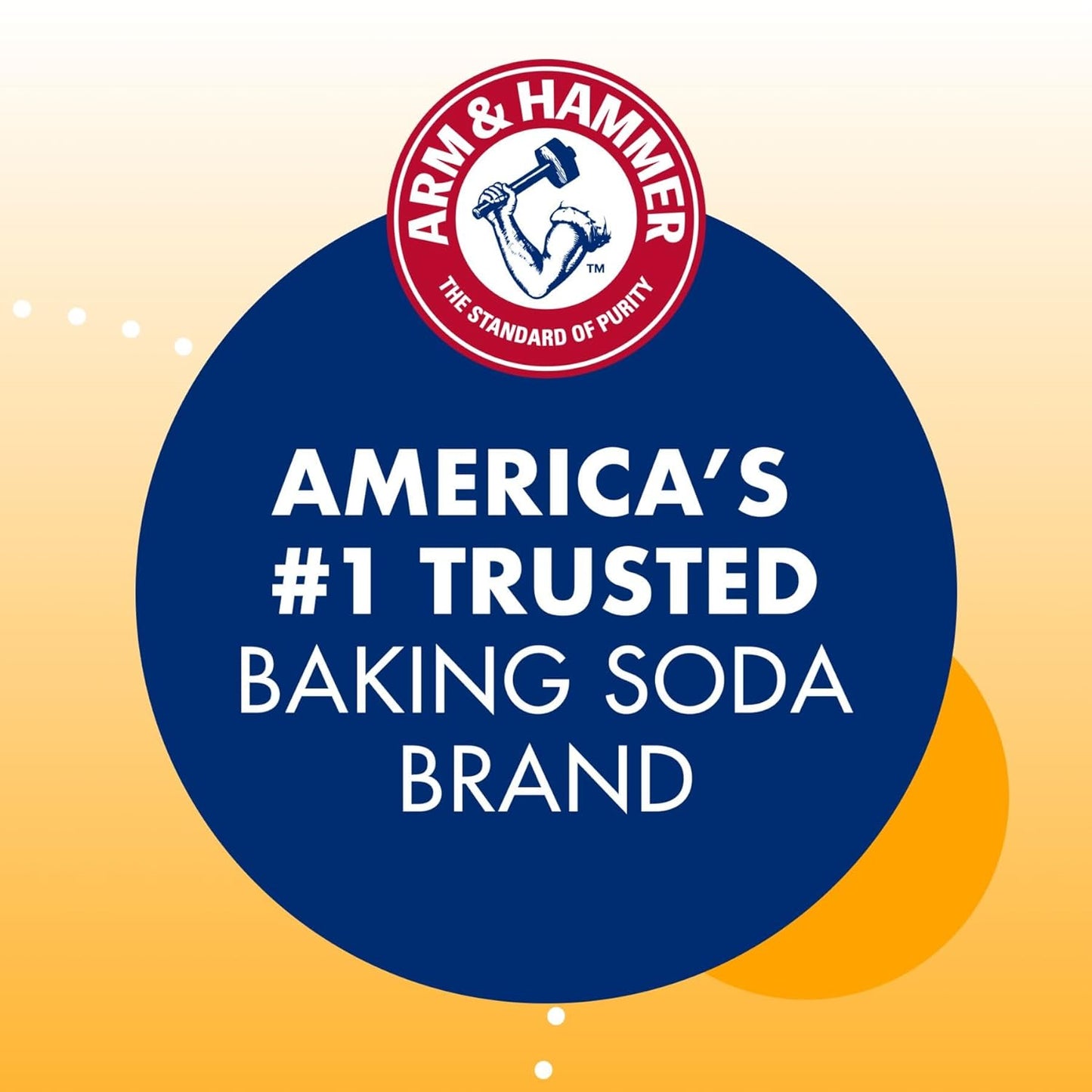 Arm & Hammer 33200-84104 Baking Soda, 16 oz (Pack of 24)